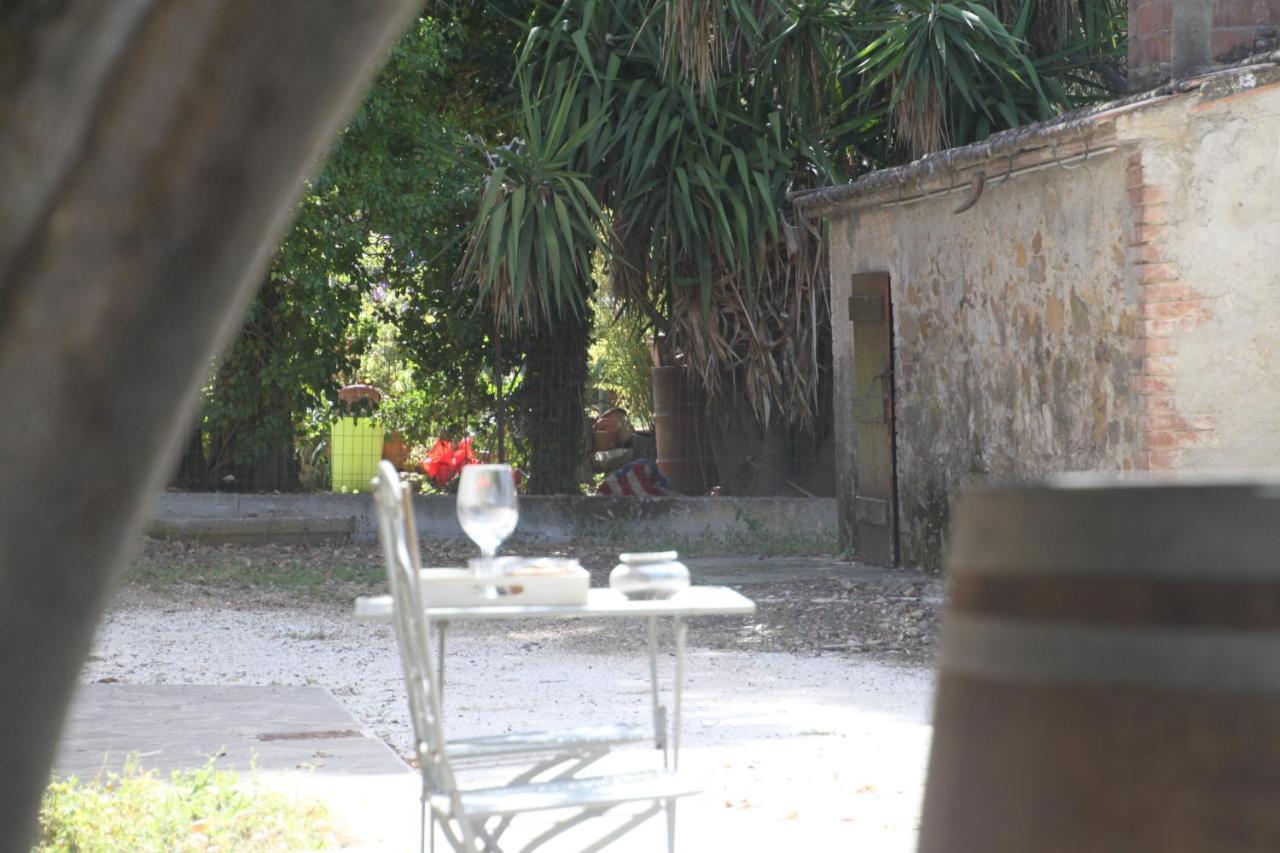 Agriturismo Il Broletto Suvereto Dış mekan fotoğraf